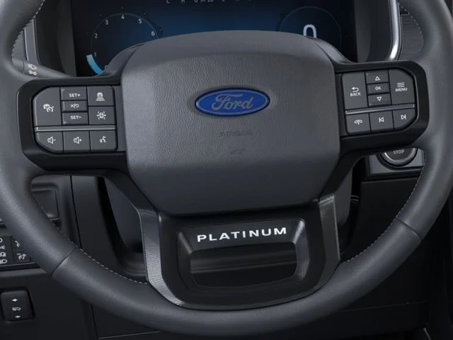 New 2026 Agate Black Metallic Ford Platinum image 16
