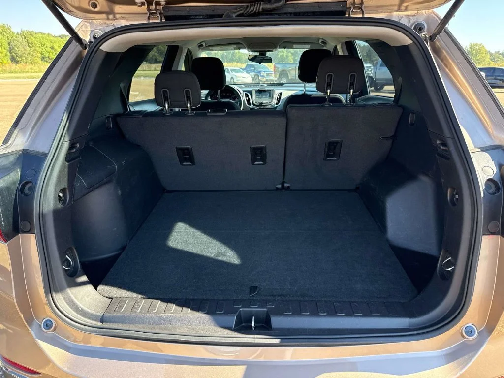 Used 2018 Beige Chevrolet LS image 10