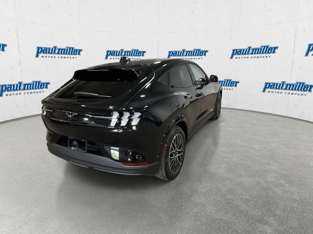 New 2026 Shadow Black Ford Premium image 11