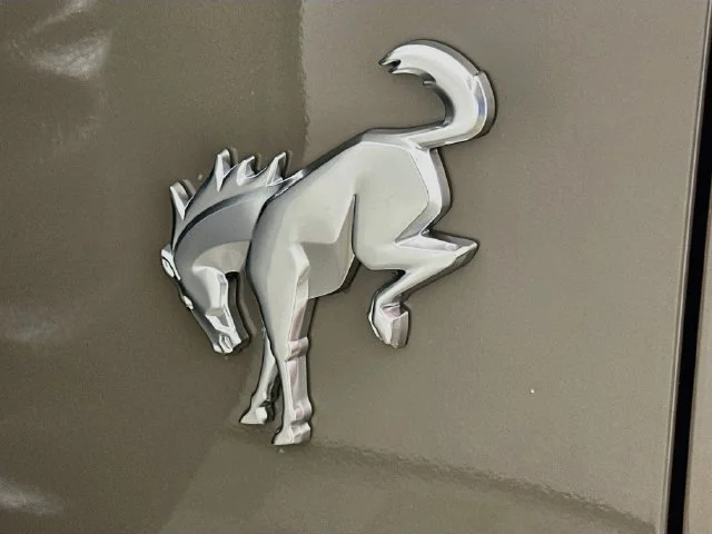 New 2026 Gray Ford Big Bend image 25