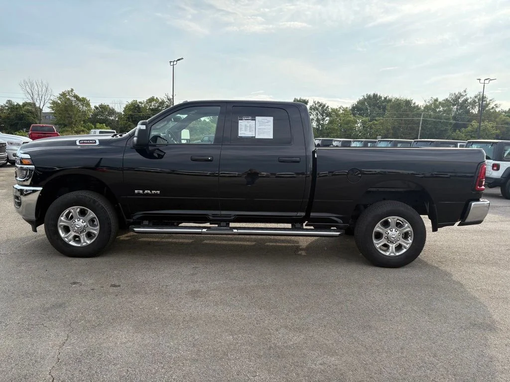 Used 2025 Black Ram Big Horn image 4