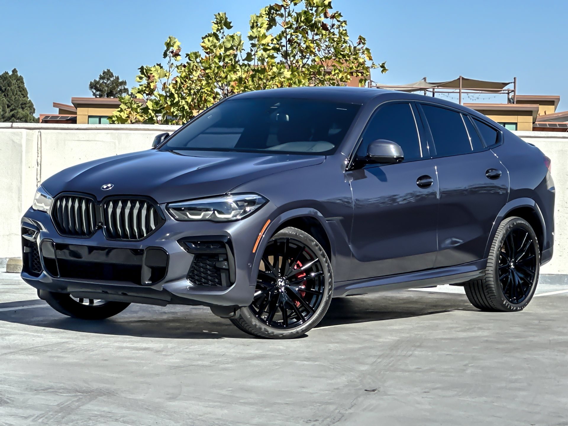 2022 BMW X6