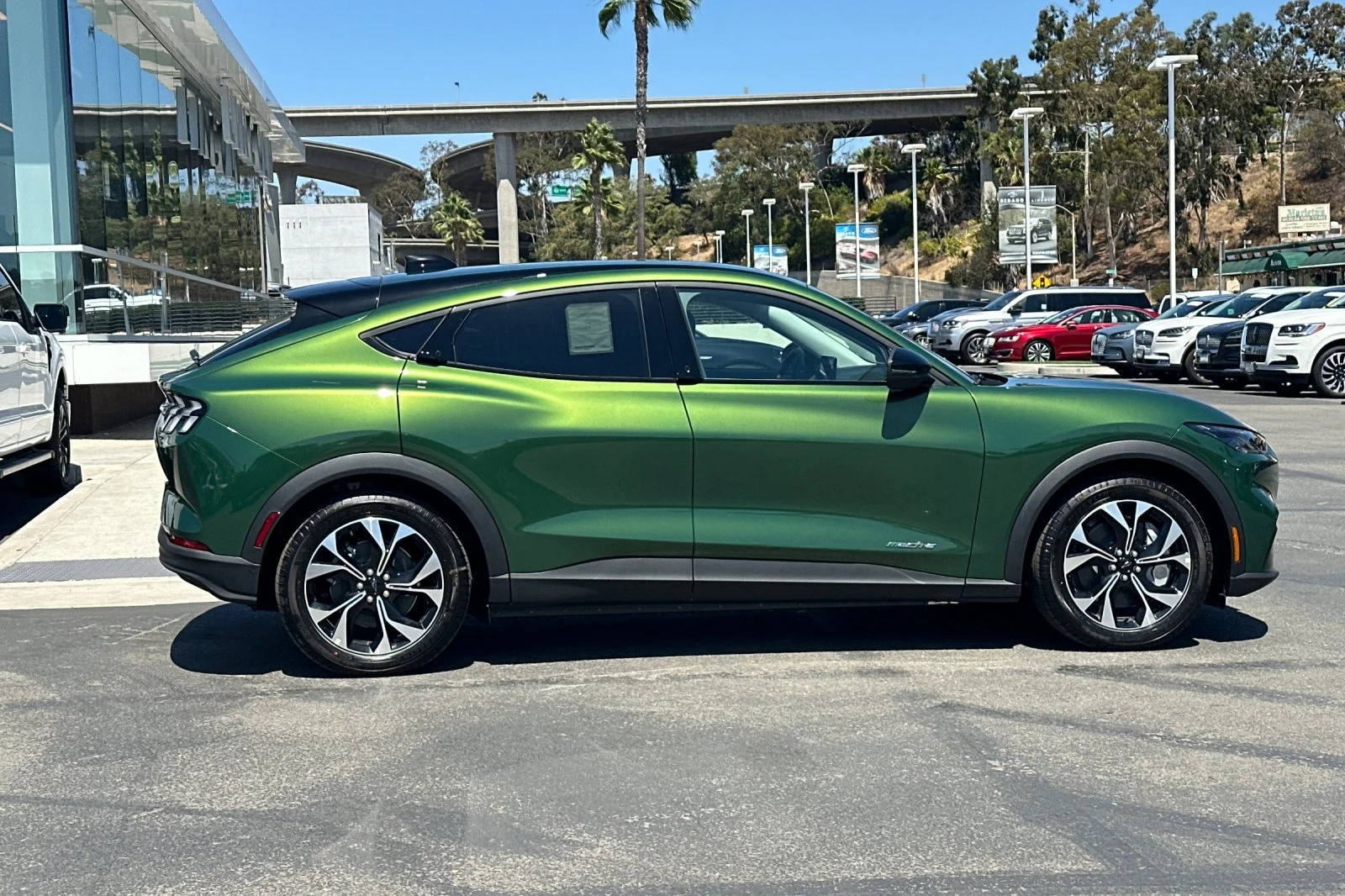 New 2026 Eruption Green Metallic Ford Select image 2