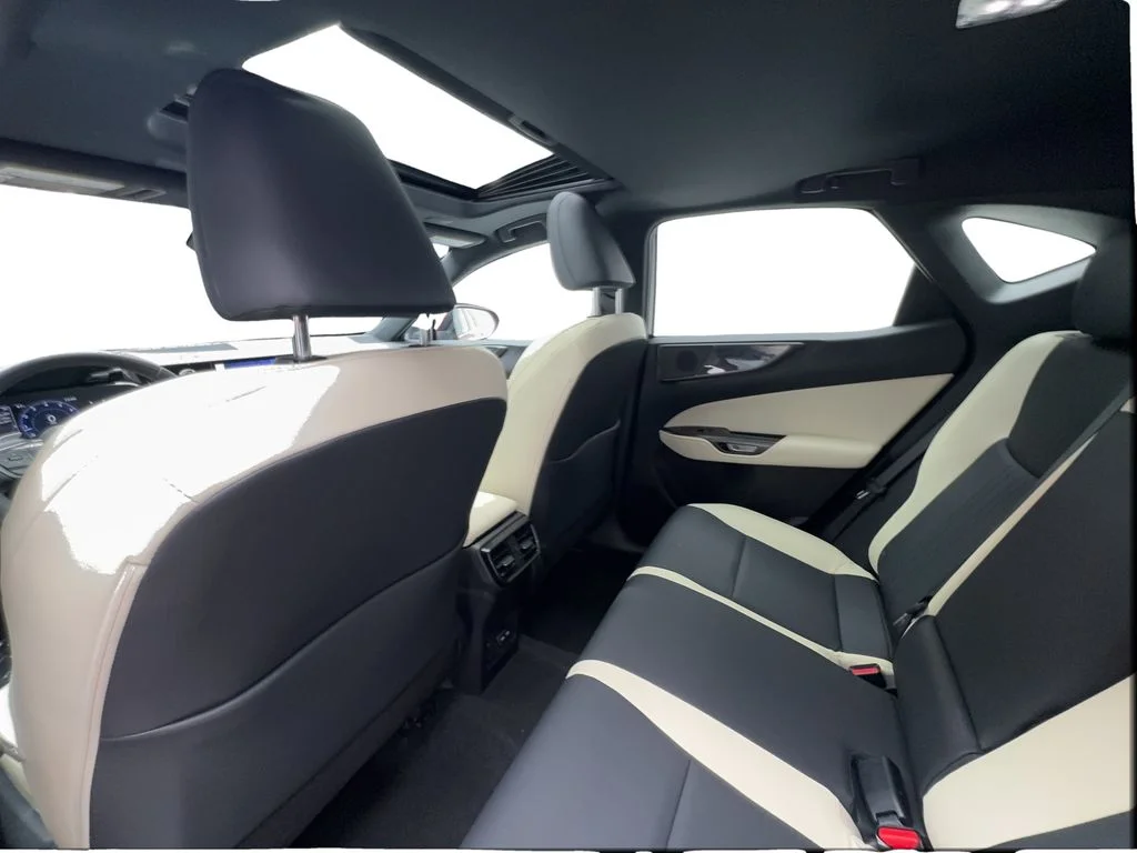 Used 2024 Red Lexus 250 Premium image 25