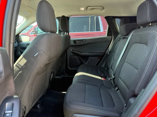 Used 2024 Race Red Ford Active image 11