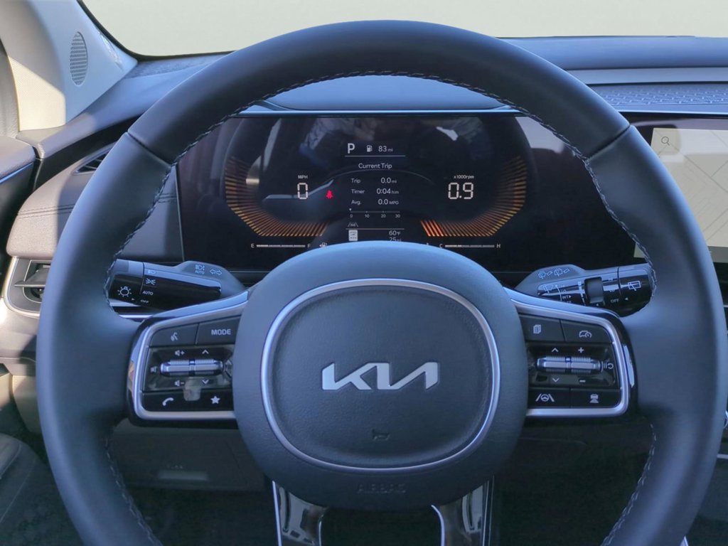 New 2026 Panthera Metal Kia LXS image 31
