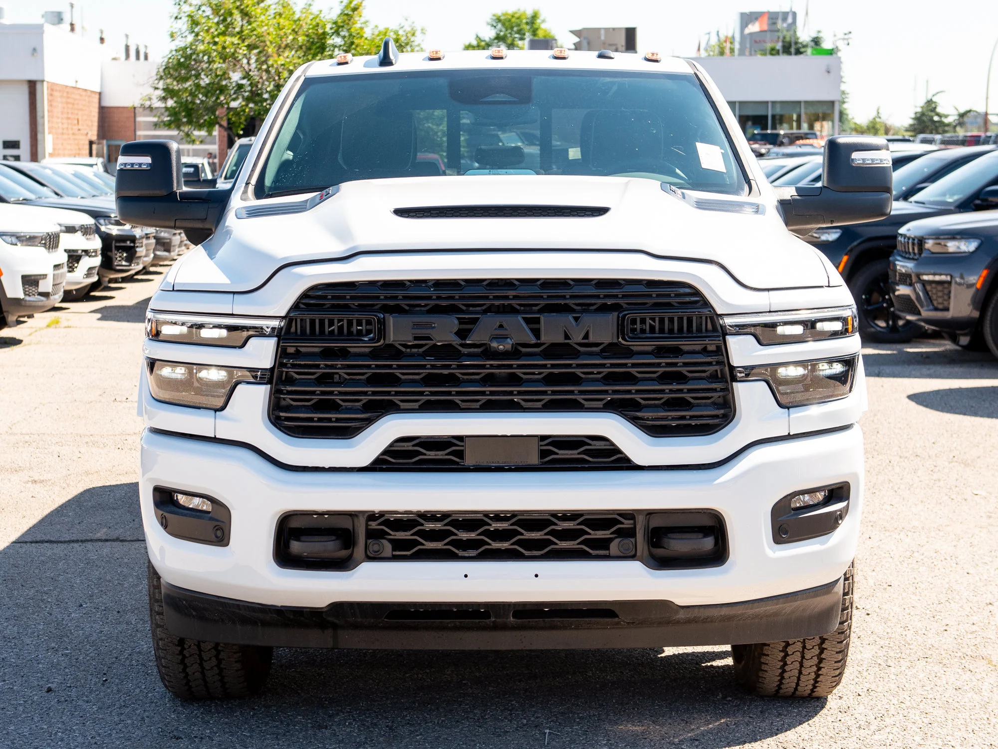 New 2026 White RAM Limited* image 10