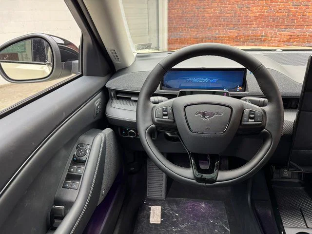 New 2025 Beige Ford Premium image 13
