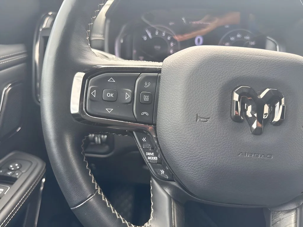 Used 2025 Black Ram Limited image 17