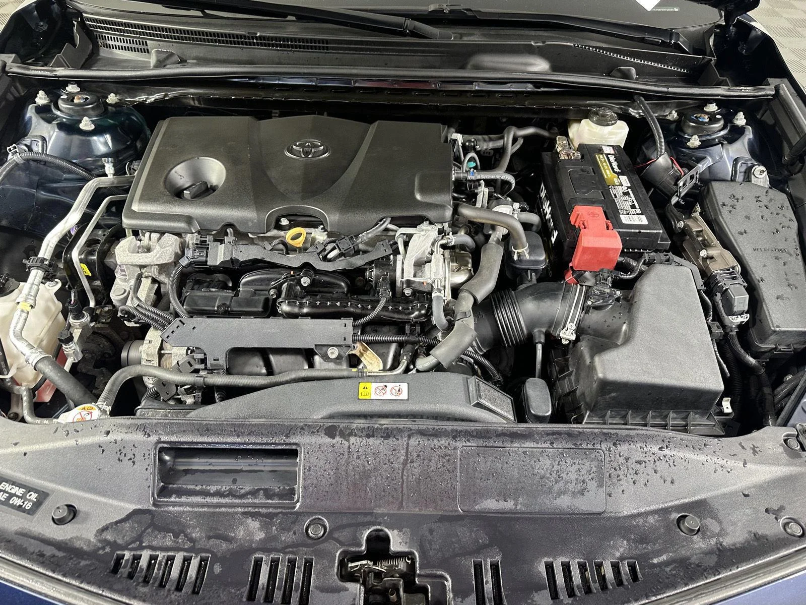 Used 2019 Galactic Aqua Mica Toyota LE image 12
