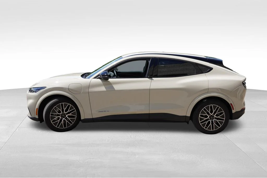 Used 2025 Desert Sand Ford Premium image 9