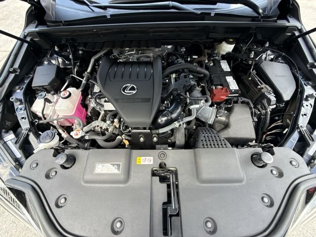 2024 Lexus NX 350 - Photo 27