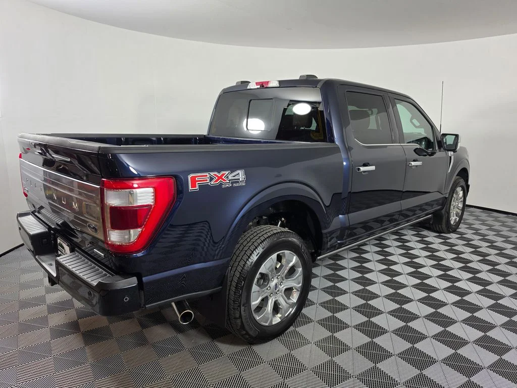 Used 2022 Blue Ford Platinum image 8
