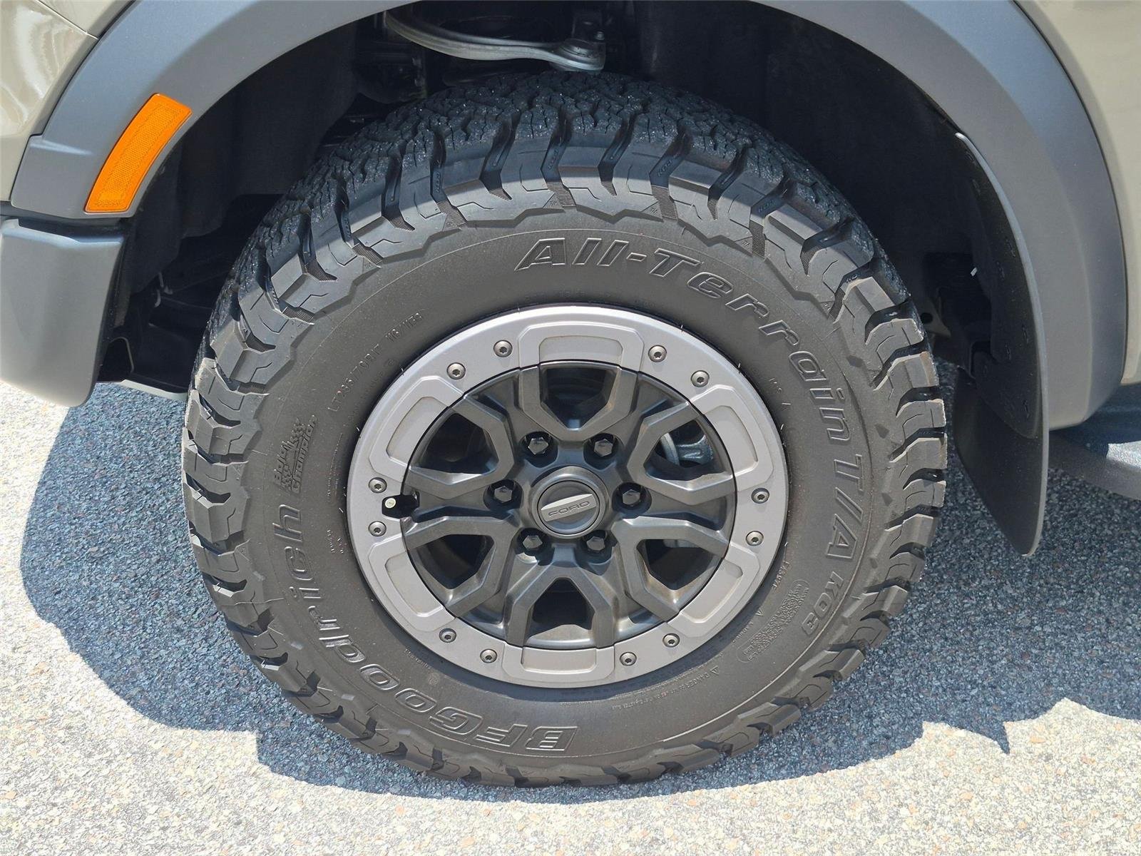 Used 2025 Marsh Gray Ford Raptor image 10