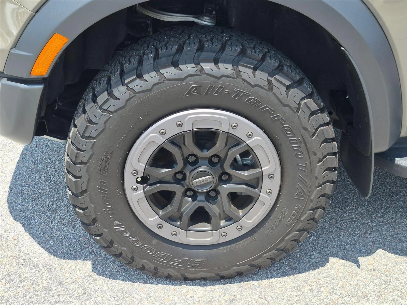 Used 2025 Marsh Gray Ford Raptor image 10