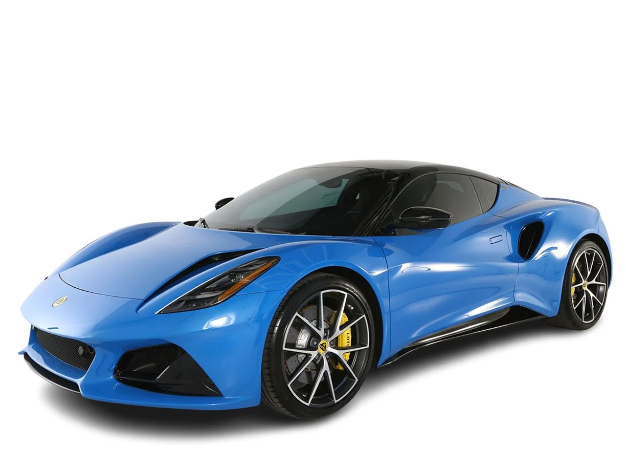 Used 2024 Blue Lotus  image 4