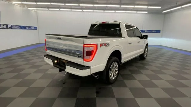 Used 2022 Star White Ford Platinum image 8