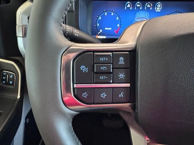 New 2026 Gray Ford Platinum image 15