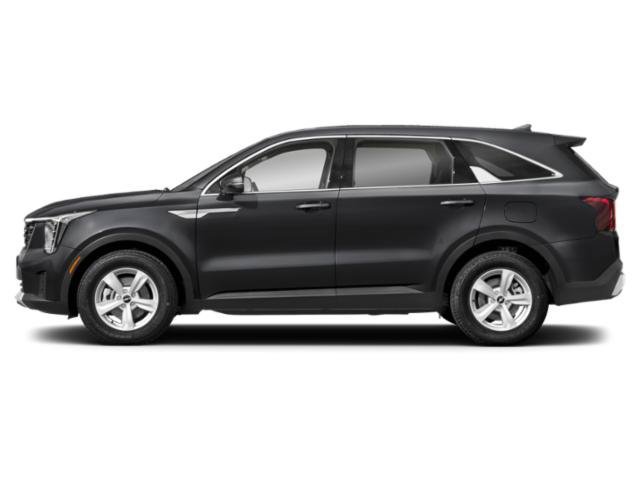 New 2026 Panthera Metal Kia LX image 3
