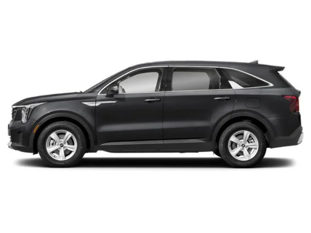 New 2026 Panthera Metal Kia LX image 3