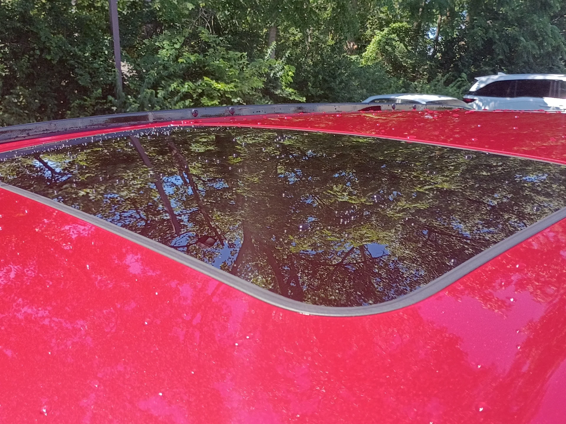 Certified Used 2024 Radiant Red Metallic Honda Sport-L image 24