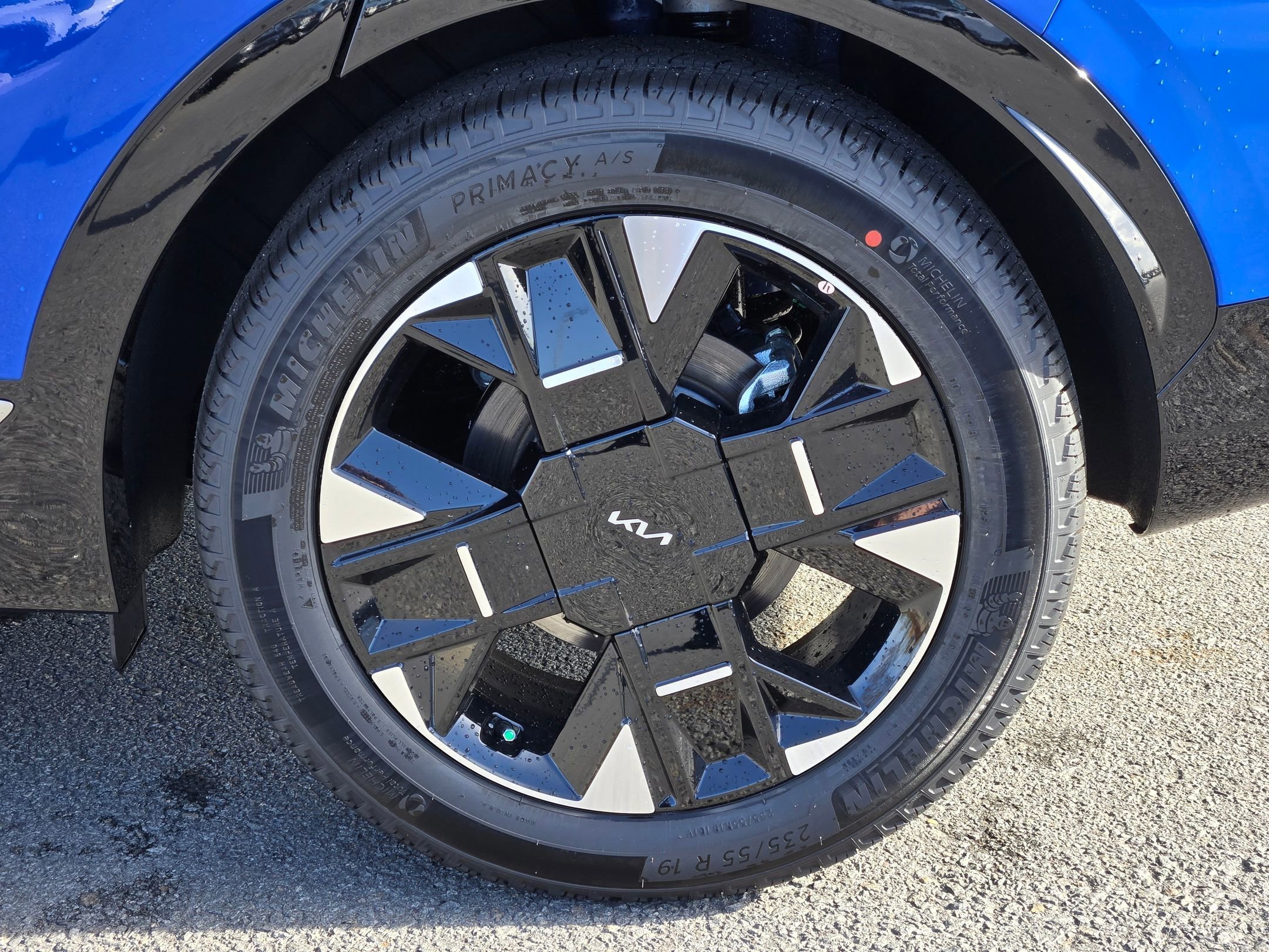 New 2026 Nebular Blue Kia SX-Prestige image 10