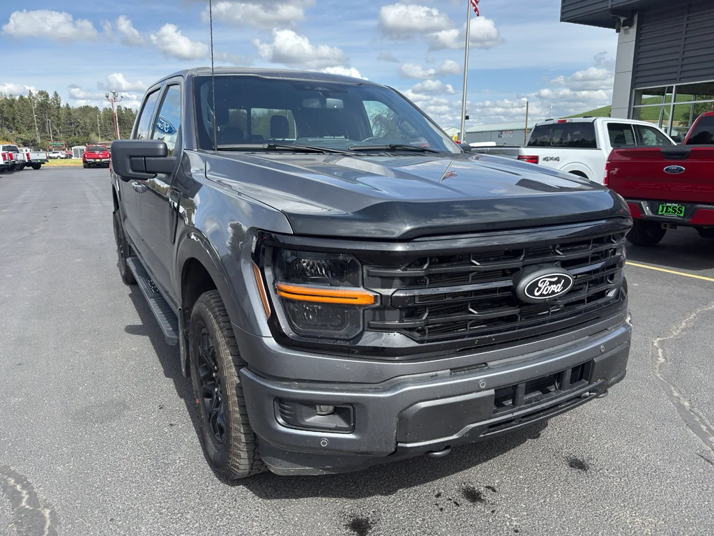 Used 2025 Gray Metallic Ford XLT image 4