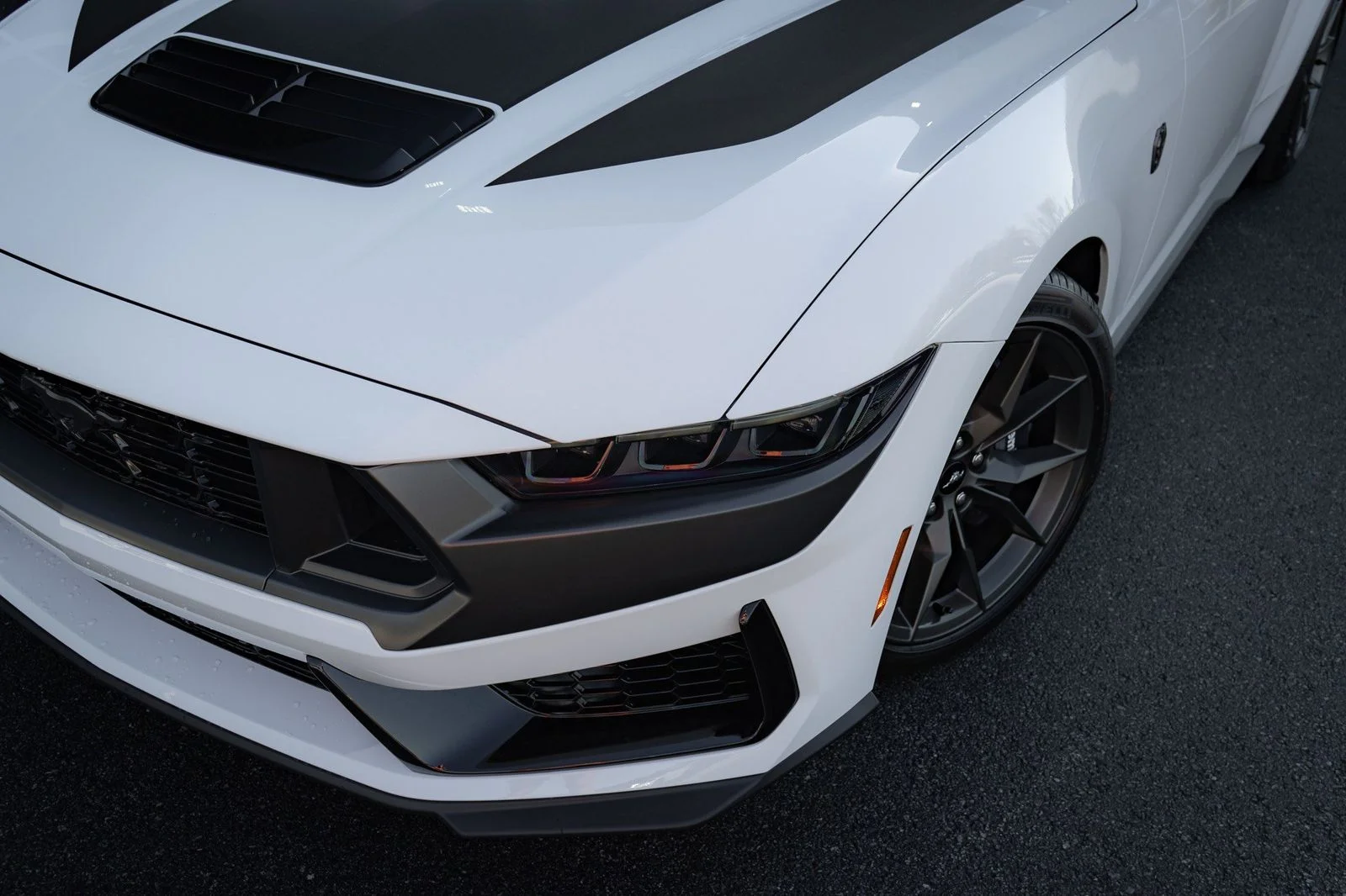 2025 Ford Mustang Dark Horse - Photo 8