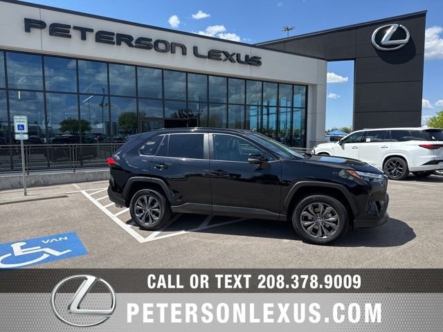 2024 Toyota RAV4 Hybrid XLE Premium AWD's photo