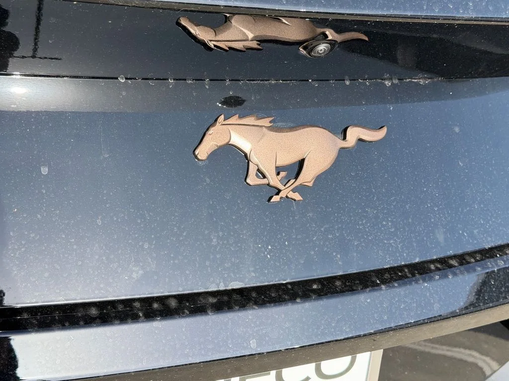 New 2026 Black Ford EcoBoost image 9