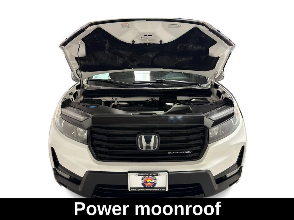 Used 2023 White Honda Black Edition image 12