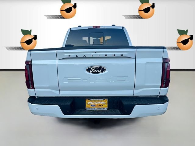 2025 Ford F-150 Platinum - Photo 40