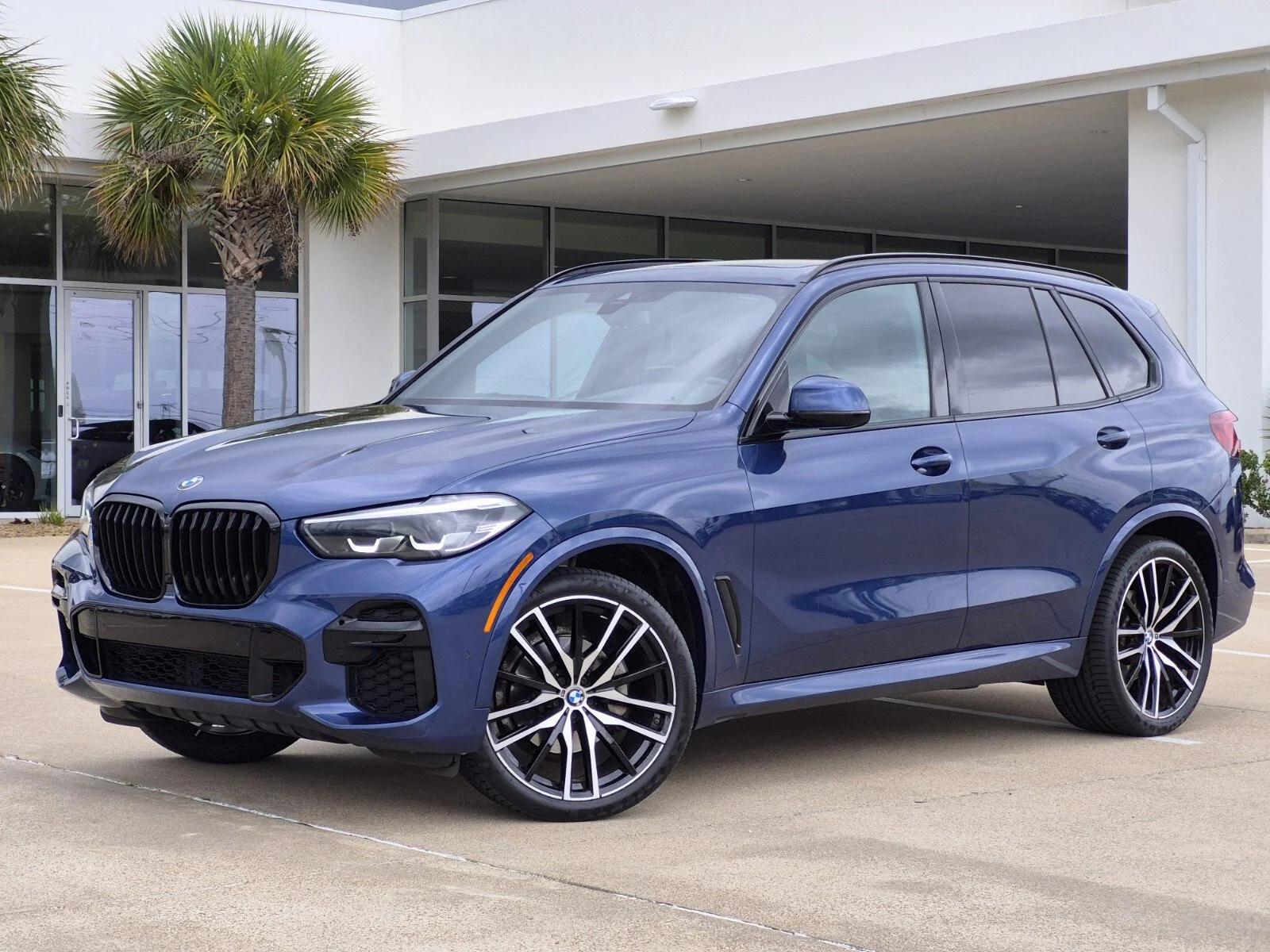 2023 BMW X5 sDrive40i's photo