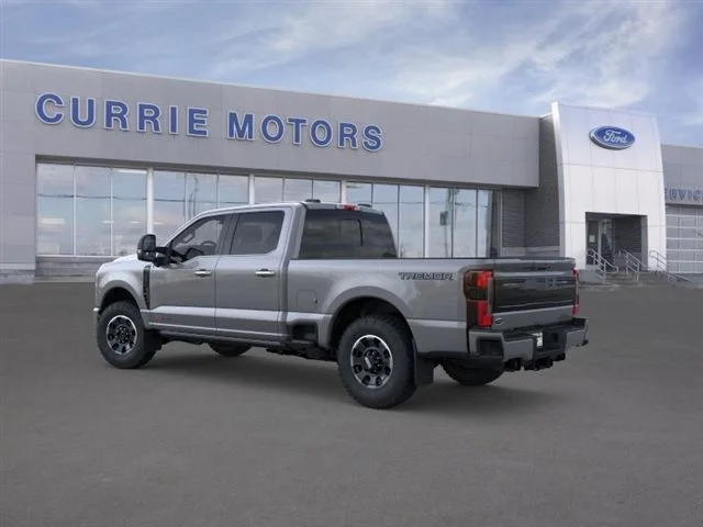 New 2026 Gray Ford Platinum image 4