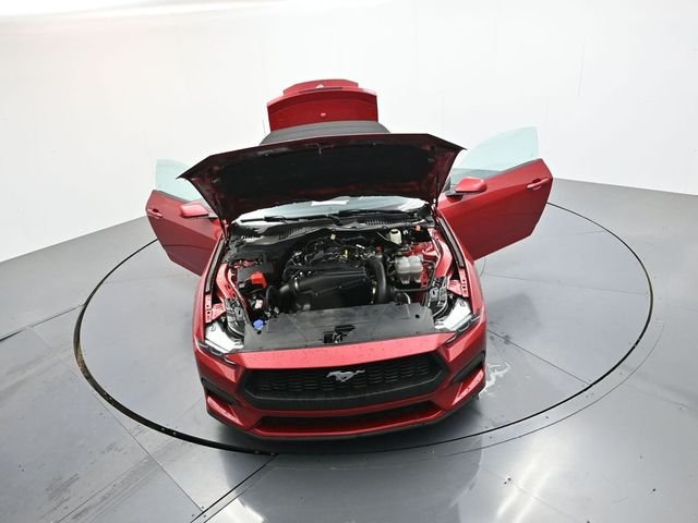 Used 2024 Red Ford EcoBoost Premium image 31