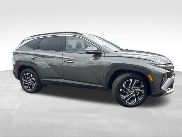 New 2026 Amazon Gray Hyundai Limited image 1