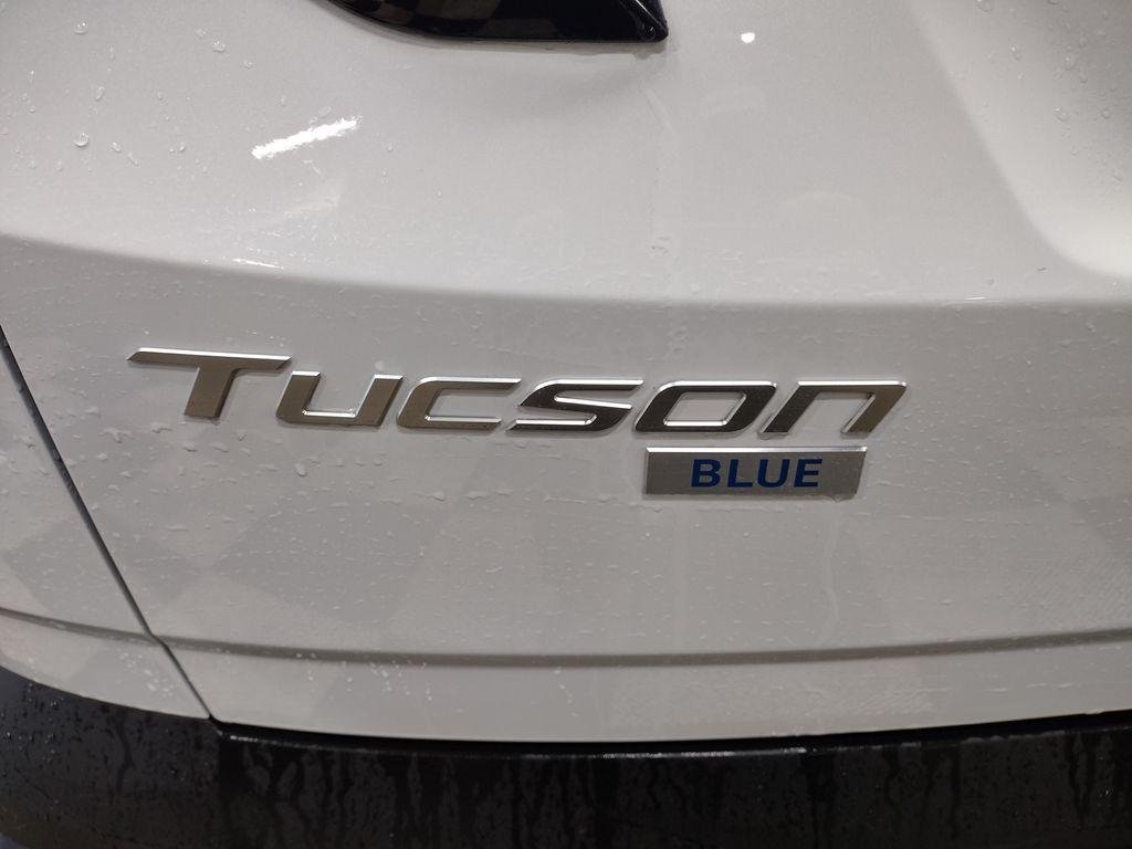 New 2026 White Pearl Hyundai Blue SE image 18
