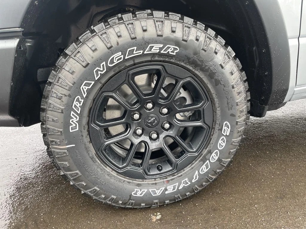 New 2026 Silver Zynith Exterior Paint RAM Rebel image 8