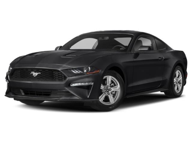 Used 2020 Shadow Black Ford EcoBoost image 1