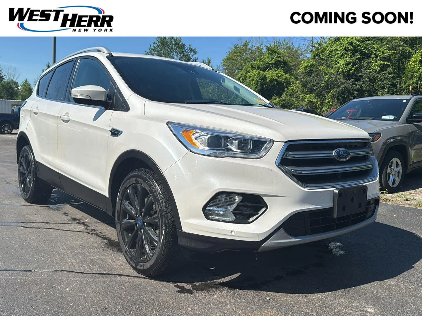 Used 2017 White Platinum Metallic Tri-Coat Ford Titanium image 1