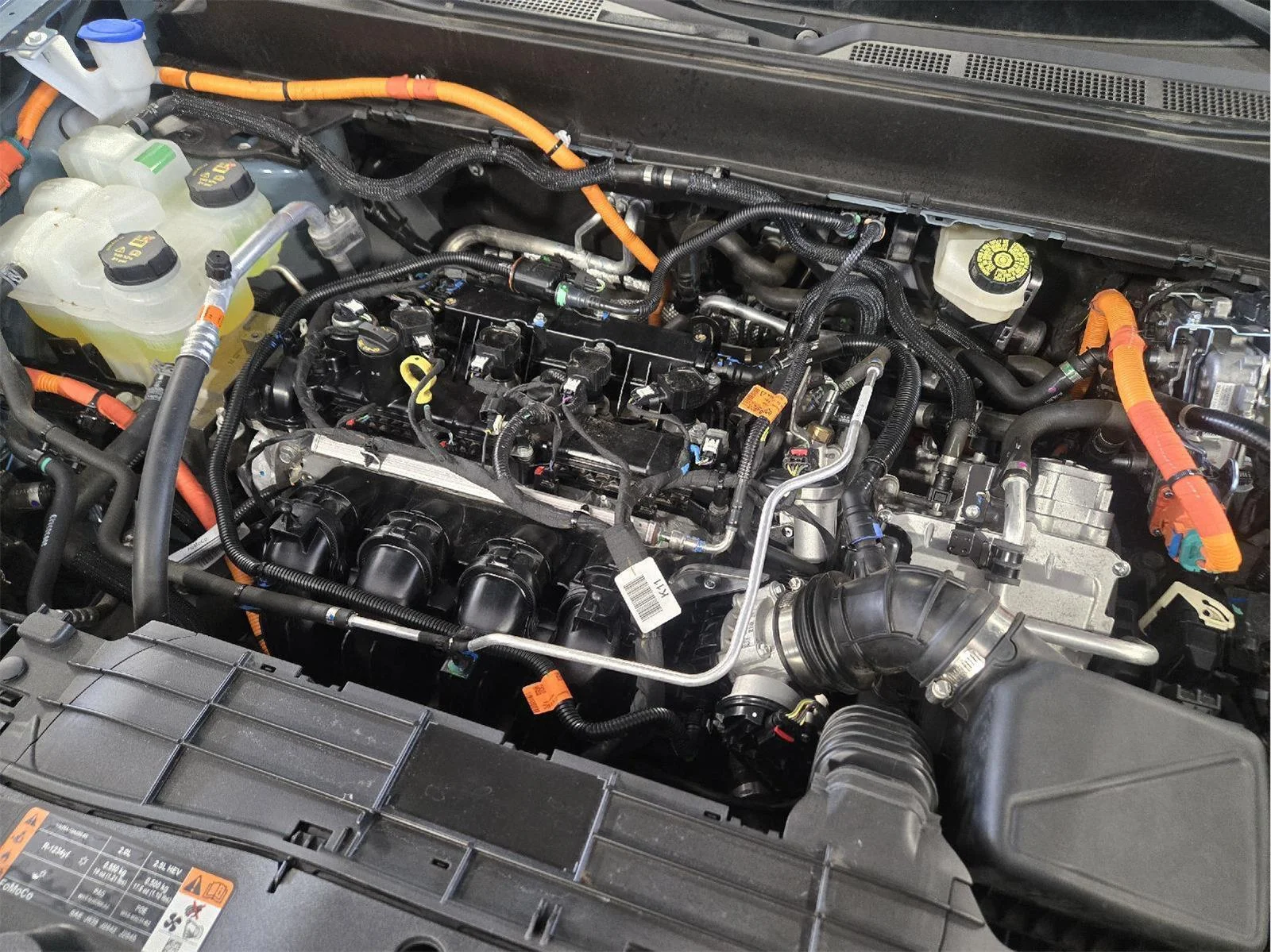 Used 2023 Area 51 Ford XL image 9