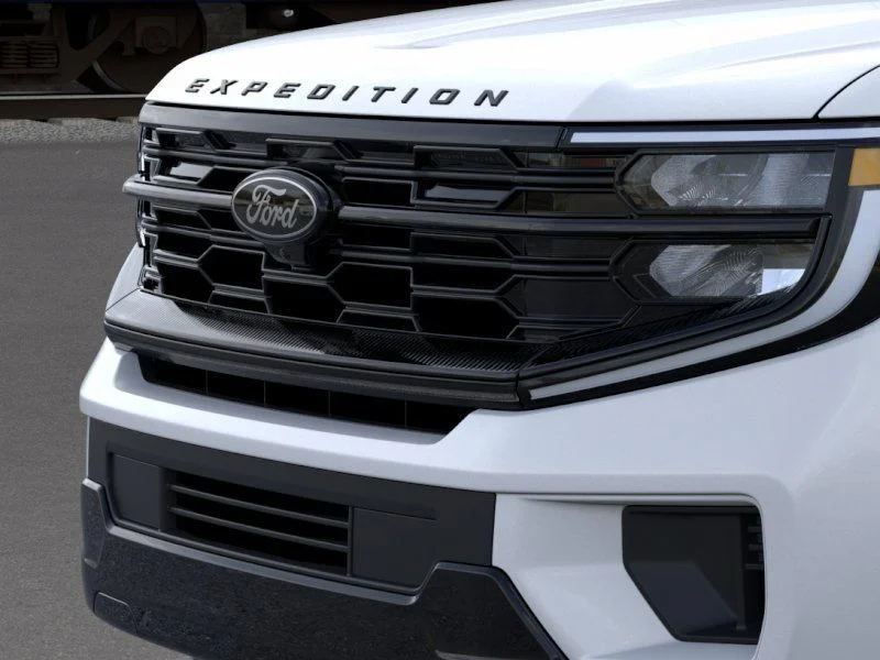 New 2025 Silver Ford Platinum image 17