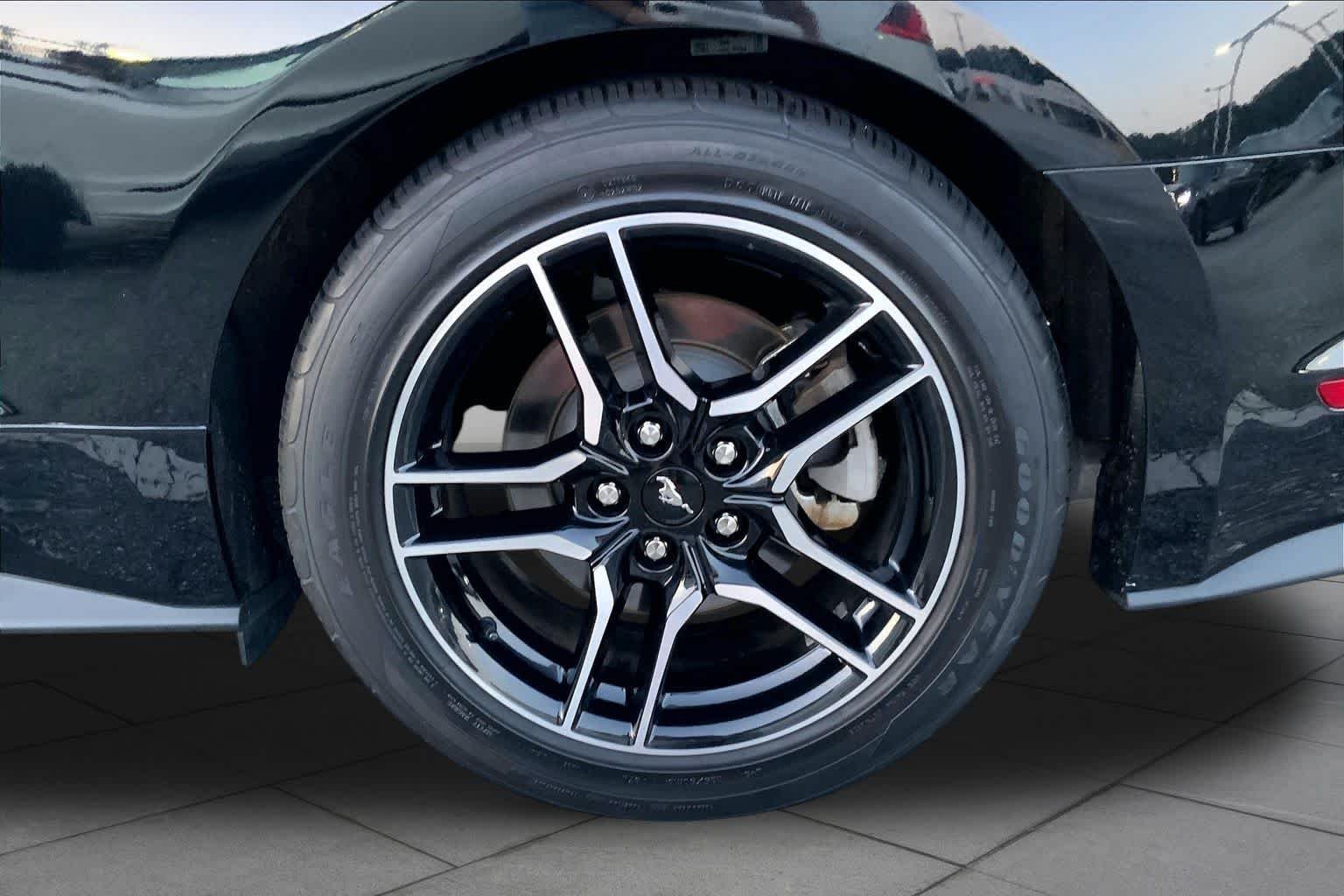 Used 2021 Shadow Black Ford EcoBoost image 9