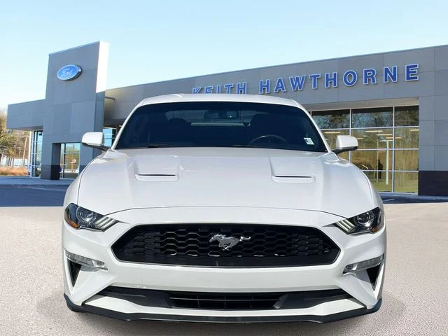 Used 2019 Oxford White Ford EcoBoost Premium image 2