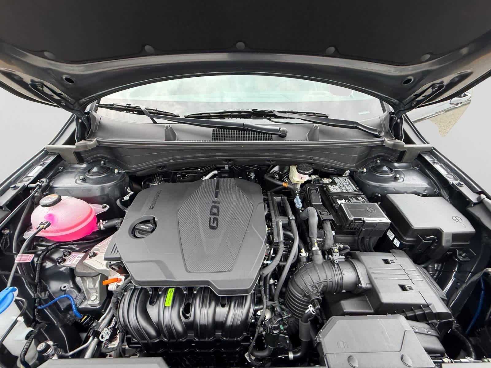 New 2026 Panthera Metal Gray Kia X-Line image 24