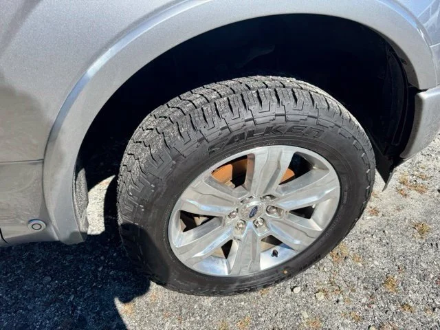 Used 2020 Silver Ford Platinum image 11