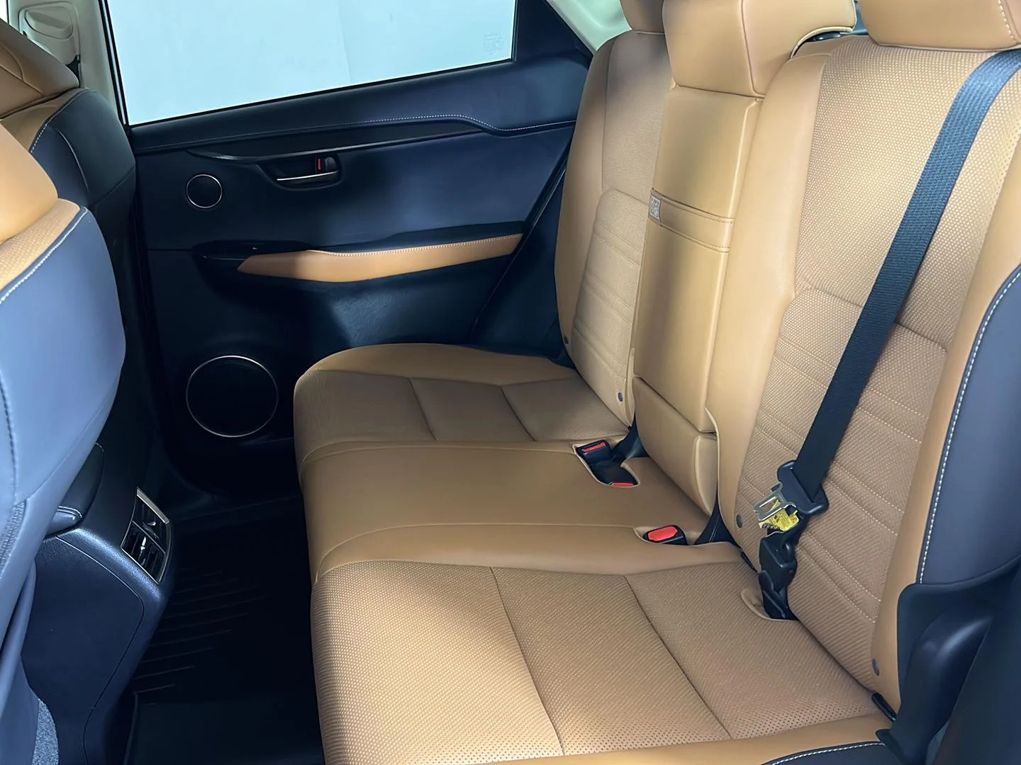 Used 2019 Caviar Lexus NX 300 image 4