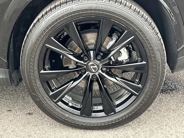 2023 Lexus NX 350 - Photo 11