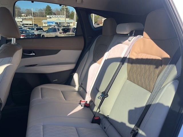 New 2026 Everest White Pearl TriCoat / Super Black Two-tone Nissan Platinum image 14