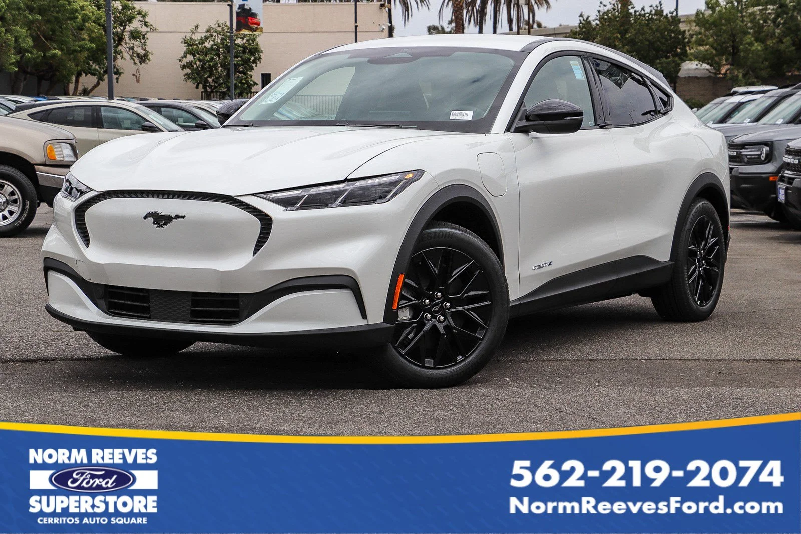 New 2026 Star White Metallic Tri-coat Ford Select image 1